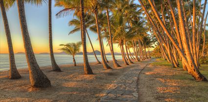 Palm Cove - QLD T (PBH4 00 14924)